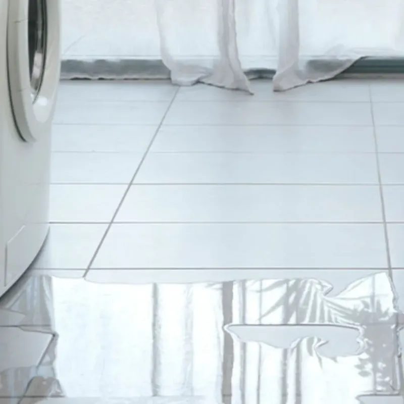 Appliance Leak Cleanup in Lewisport, KY