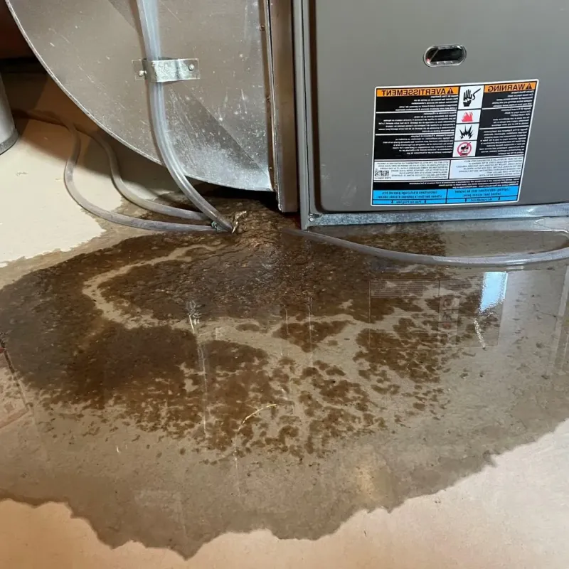 Pipe Burst and Leak Restoration in Lewisport, KY