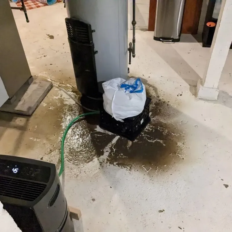 Sewage Backup Cleanup Service in Lewisport, KY